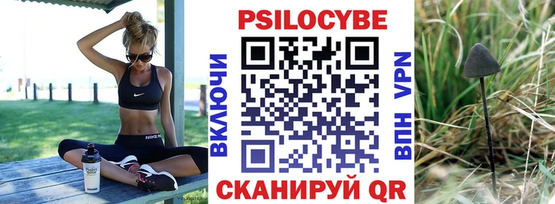 Псилоцибиновые грибы прущие грибы  закладки  Белорецк 