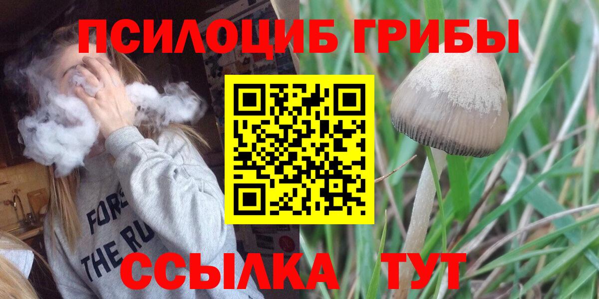 Галлюциногенные грибы Cubensis  Вход с VPN  Белорецк 